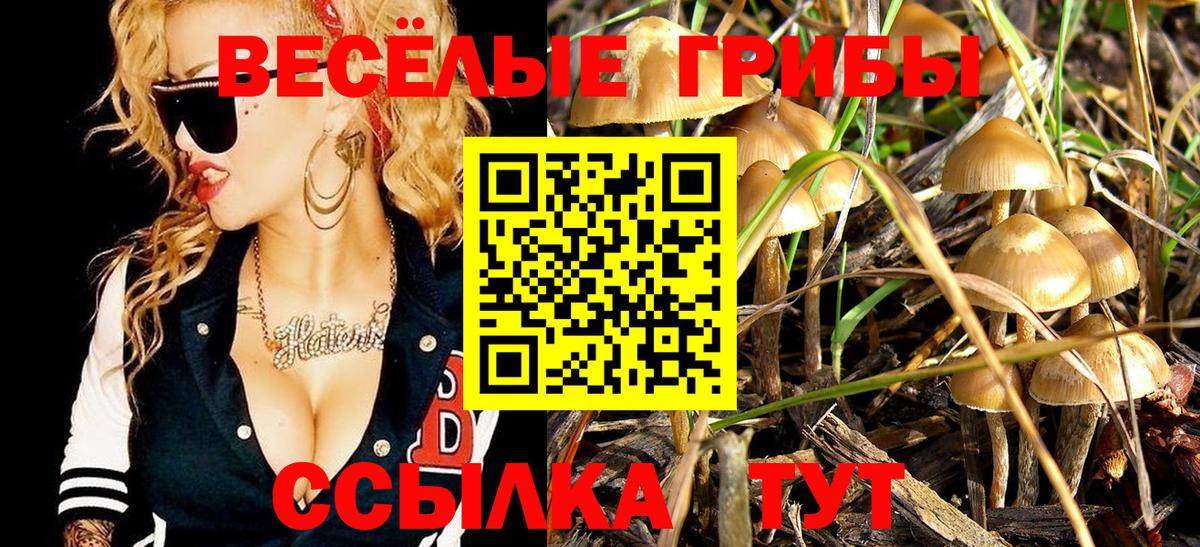 Псилоцибиновые грибы прущие грибы Ефремов