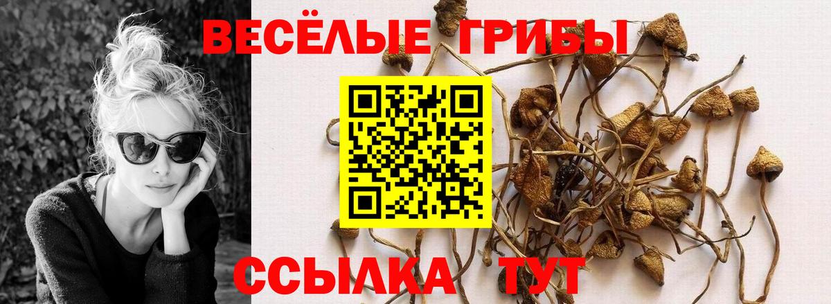 Ефремов  купить  цена  Вход с VPN  Галлюциногенные грибы прущие грибы 